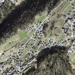 Schellenberg map(satellite map)