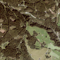 Zellberg map(satellite map)