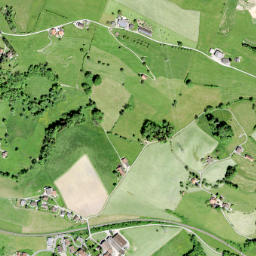 Wahlkreis See-Gaster map(satellite map)