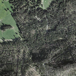 Jura bernois map(satellite map)