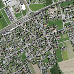 Luterbach map(satellite map)