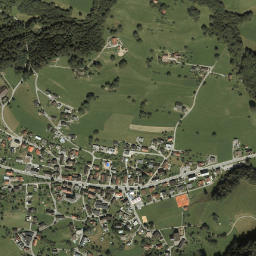 Schnifis map(satellite map)