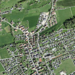 Selzach map(satellite map)