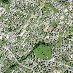 Richterswil / Burghalde map(satellite map)