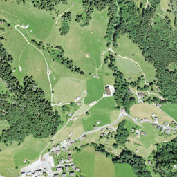 Wildhaus map(satellite map)