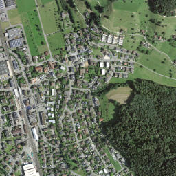 Nebikon map(satellite map)