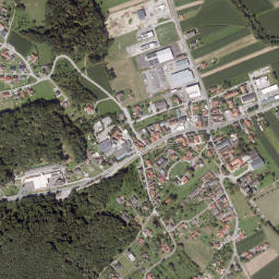 Hirnsdorf map(satellite map)