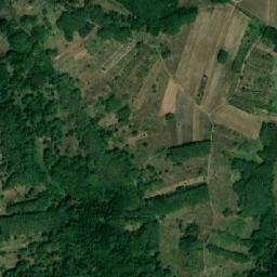 Comuna Sârbi map(satellite map)