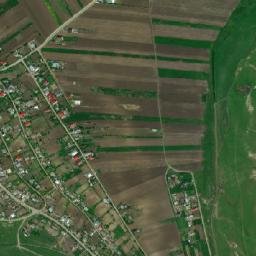 Buznea map(satellite map)