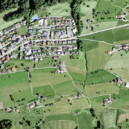 Feusisberg map(satellite map)
