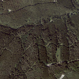 Gallmannsegg map(satellite map)