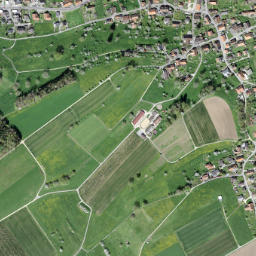 Leuzigen map(satellite map)