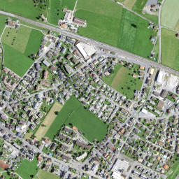 Reichenburg map(satellite map)