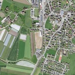 Madiswil map(satellite map)