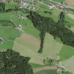 Mauensee map(satellite map)