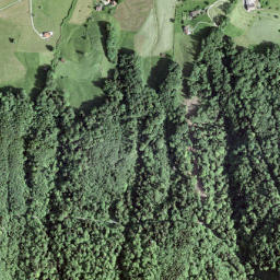 Bezirk March map(satellite map)