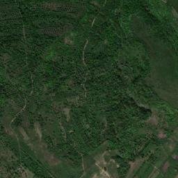 Comuna Braniştea map(satellite map)