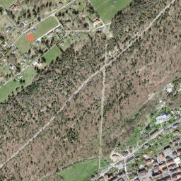 Saint-Imier map(satellite map)