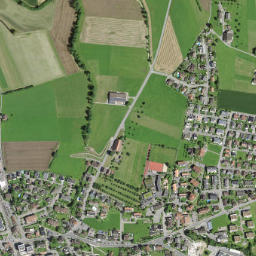 Ballwil map(satellite map)