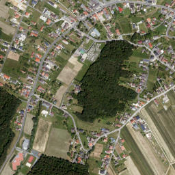 Güttenbach map(satellite map)
