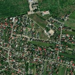 Dancu map(satellite map)