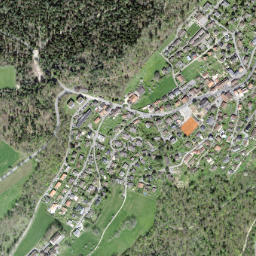 Evilard map(satellite map)
