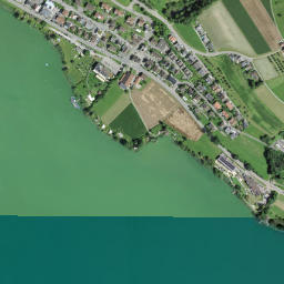 Eich map(satellite map)