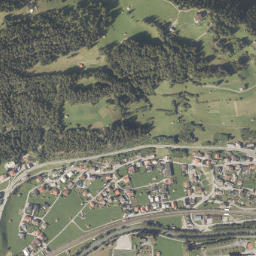 Pettneu map(satellite map)