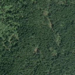 Satellite view of American Lake Veterans Golf Course