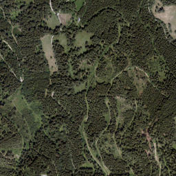 Reifling map(satellite map)