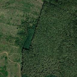 Cetariu map(satellite map)