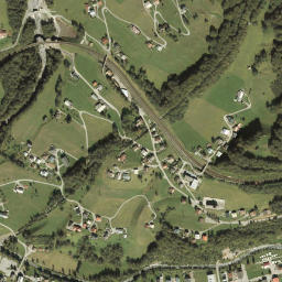 Dalaas map(satellite map)