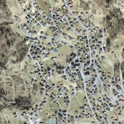 Triesenberg map(satellite map)