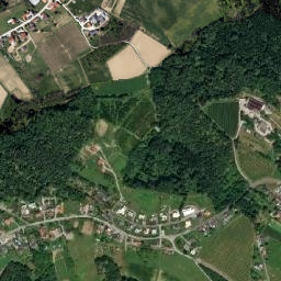 Nitscha map(satellite map)