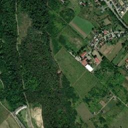 Comuna Tomeşti map(satellite map)