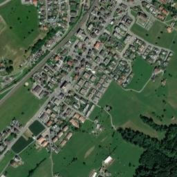Root map(satellite map)