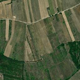 Comuna Paleu map(satellite map)