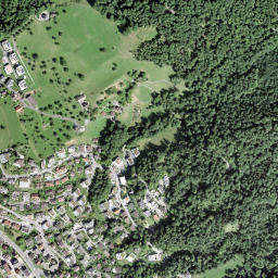 Walchwil map(satellite map)