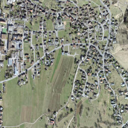 Triesen map(satellite map)