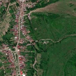 Petriș map(satellite map)