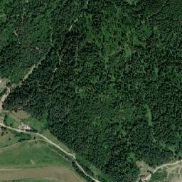 Poiana Teiului map(satellite map)