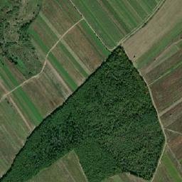 Ţibucani map(satellite map)