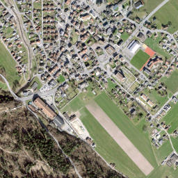 Flums map(satellite map)