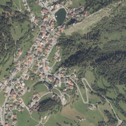 Ladis map(satellite map)