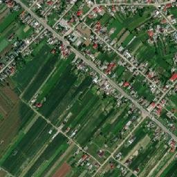 Nisiporești map(satellite map)