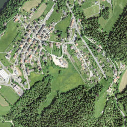 Les Brenets map(satellite map)