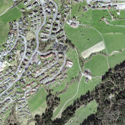 Adligenswil map(satellite map)