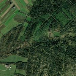 Aleşd map(satellite map)