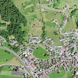 Steinen map(satellite map)