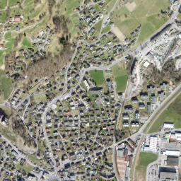 Sargans map(satellite map)